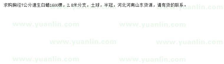 求購胸徑7公分速生白蠟
