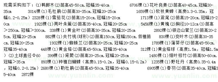 求購鴨腳木、花葉良家、毛杜鵑等