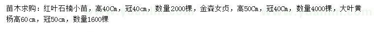 求購(gòu)紅葉石楠小苗、金森女貞、大葉黃楊