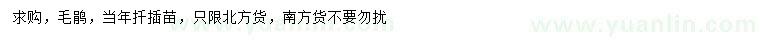 求購當年扦插毛鵑苗