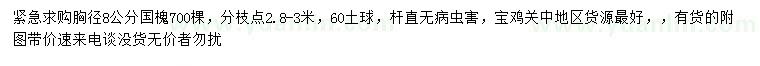 求購(gòu)胸徑8公分國(guó)槐