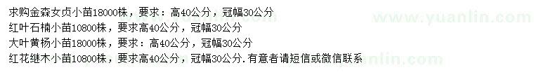 求購金森女貞小苗、紅葉石楠小苗、大葉黃楊小苗等