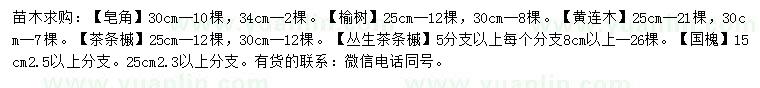 求購皂角、榆樹、黃連木等