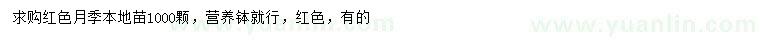 求購(gòu)紅色月季本地苗