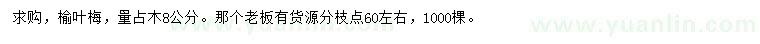 求購8公分榆葉梅
