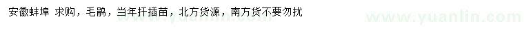 求購毛鵑