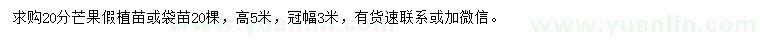 求購20公分芒果假植苗或袋苗