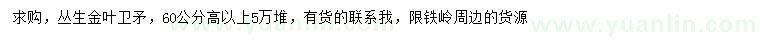求購高60公分叢生金葉衛(wèi)矛