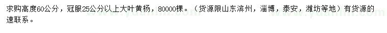 求購(gòu)高60公分大葉黃楊