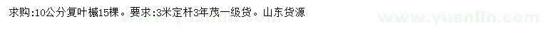 求購10公分復(fù)葉槭