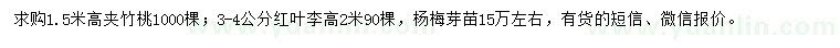 求購夾竹桃、紅葉李、楊梅芽苗