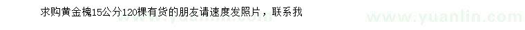 求購15公分黃金槐