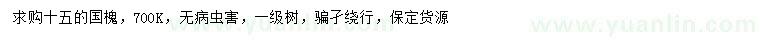 求購15公分國槐