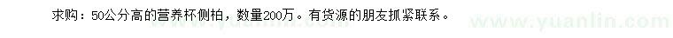 求購(gòu)高50公分側(cè)柏