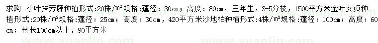 求購小葉扶芳藤、金葉女貞、沙地柏等