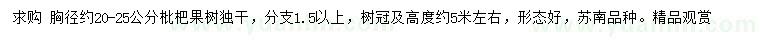 求購胸徑約20-25公分枇杷