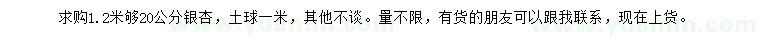 求購(gòu)1.2米量20公分銀杏