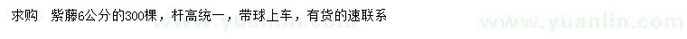 求購6公分紫藤