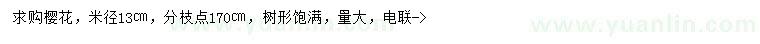 求購米徑13公分櫻花