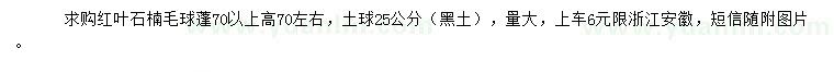 求購(gòu)高70公分左右紅葉石楠毛球
