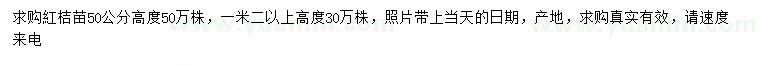 求購高50、120公分以上紅桔苗