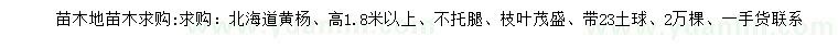 求購(gòu)高1.8米以上北海道黃楊