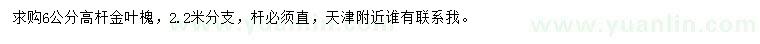 求購(gòu)6公分高桿金葉槐