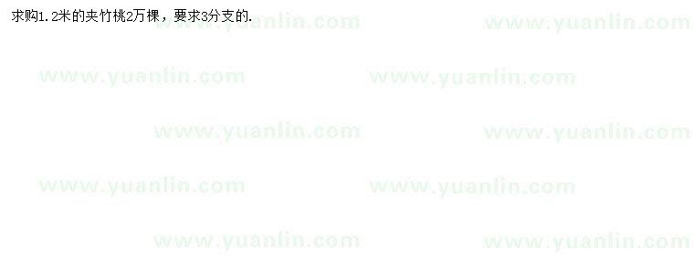求購(gòu)1.2米夾竹桃