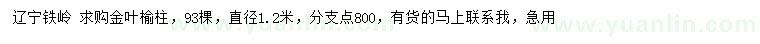 求購直徑1.2米金葉榆柱