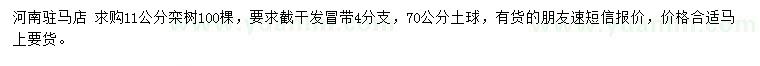 求購11公分欒樹