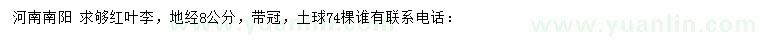 求購地徑8公分紅葉李