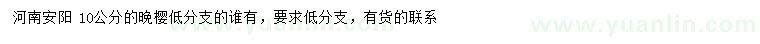 求購(gòu)10公分晚櫻