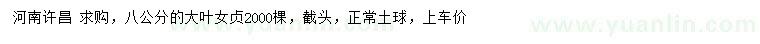 求購8公分大葉女貞
