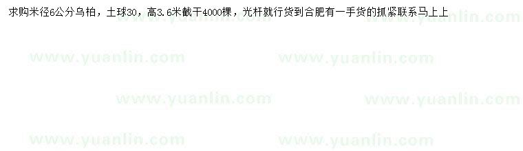求購米徑6公分烏桕