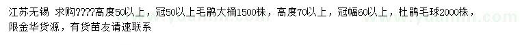 求購高50公分以上毛鵑、高70公分以上杜鵑毛球