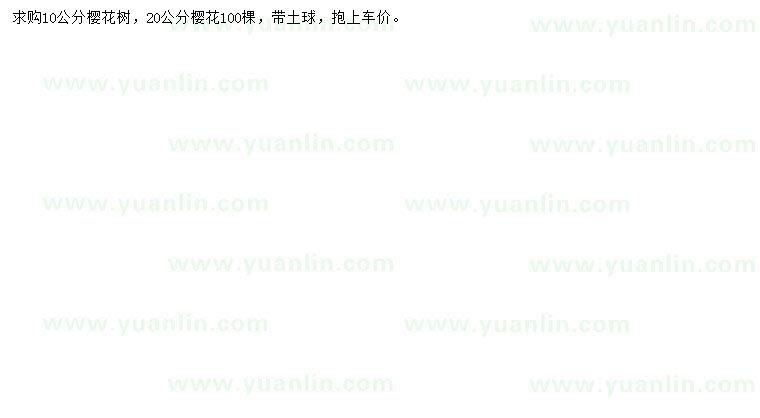 求購(gòu)10、20公分櫻花