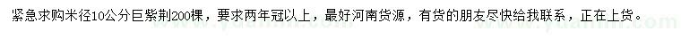 求購米徑10公分巨紫荊
