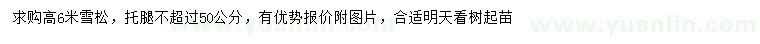 求購(gòu)高6米雪松