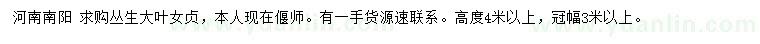 求購高4米以上叢生大葉女貞