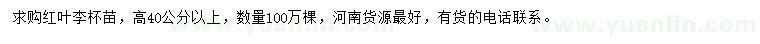 求購高40公分以上紅葉李