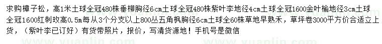 求購樟子松、垂柳、紫葉李等