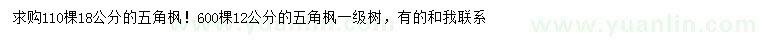 求購12、18公分五角楓