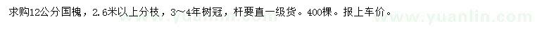 求購12公分國槐