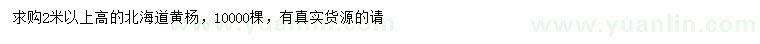 求購(gòu)高2米以上北海道黃楊