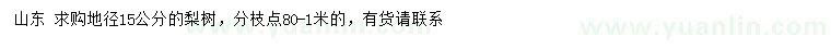 求購地徑15公分梨樹