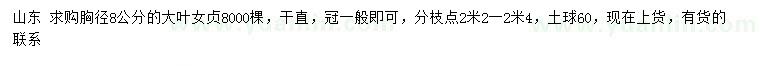 求購胸徑8公分大葉女貞