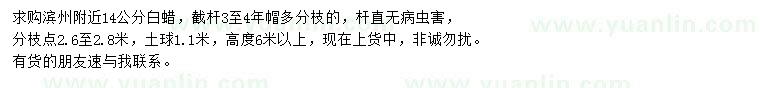 求購14公分白蠟