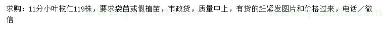 求購11公分小葉欖仁