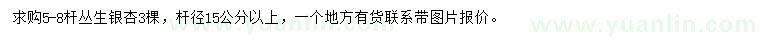 求購5-8桿叢生銀杏
