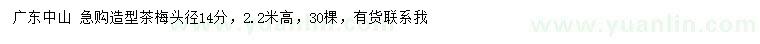 求購頭徑14公分造型茶梅